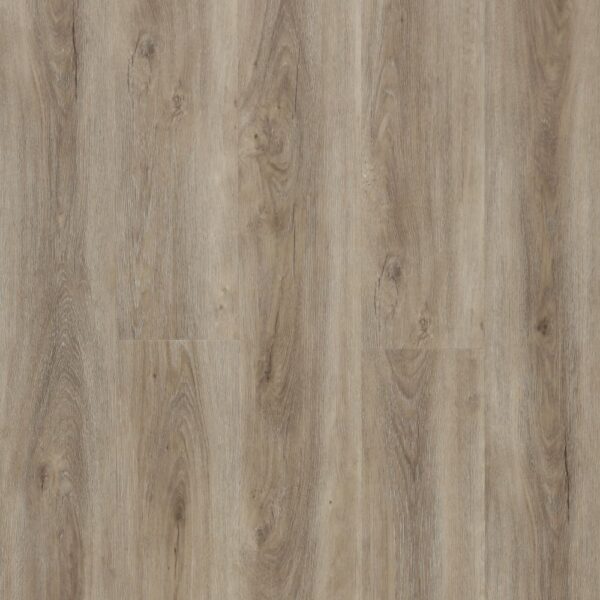 EXPERTO CLICK SPC 50 Dub Alicante 1026-3