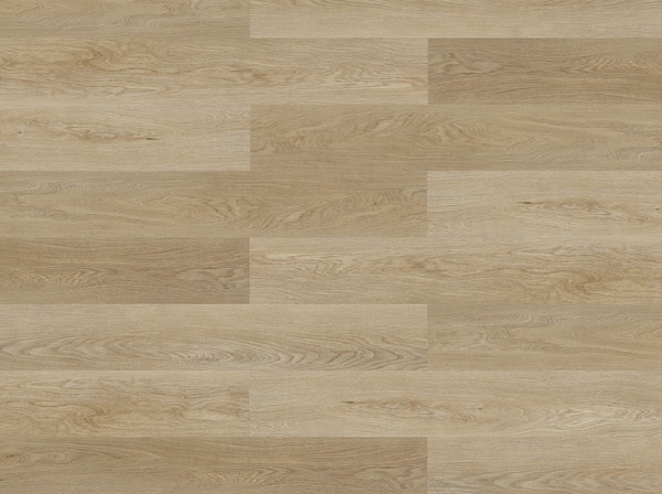 EXPERTO CLICK SPC 50 Dub Bari 88065L-008
