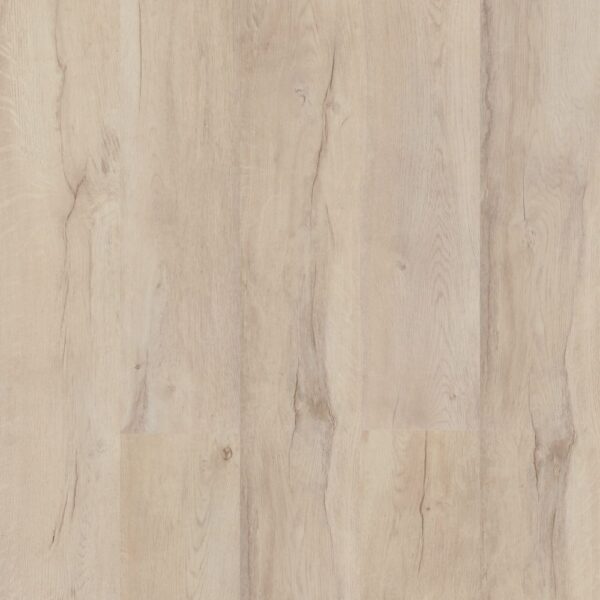 EXPERTO CLICK SPC 50 Dub Sevilla 6179-2