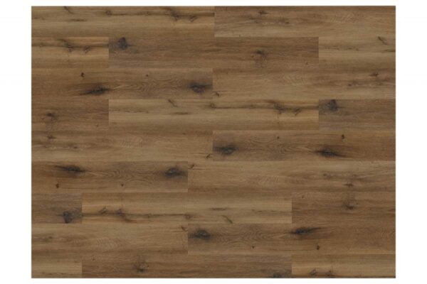 EXPERTO CLICK SPC 50 Dub Sienna 88001-007