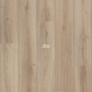 Forbo NOVILUX TRAFFIC 5572