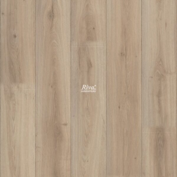 Forbo NOVILUX TRAFFIC 5572